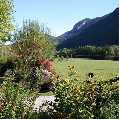 Waterval In Het Boshoek Holiday home *