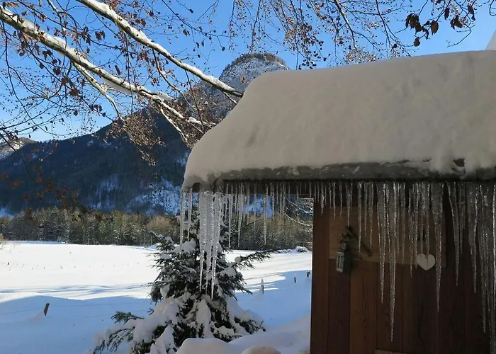 Waterval In Het Boshoek Feriehus *